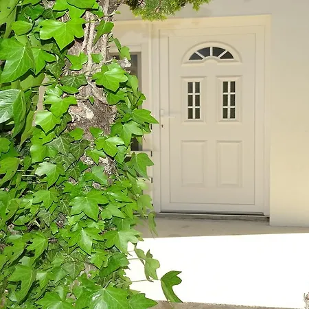 Ricine Apartamento